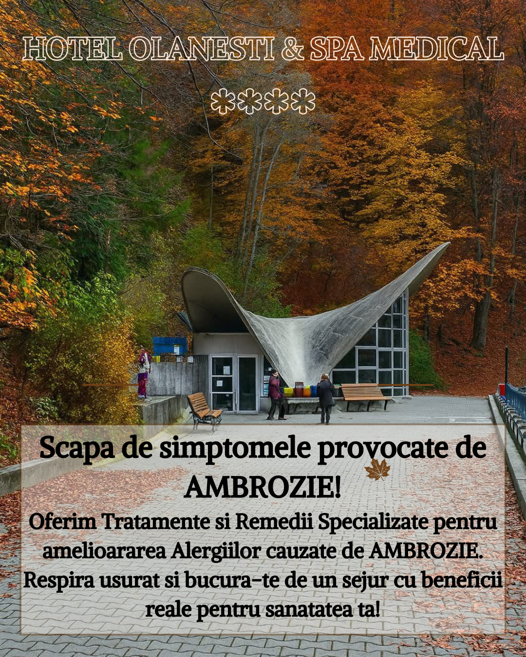 Hotel Olănești & Spa Medical **** — Băile Olănești